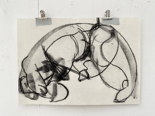 Sophia Pulled Together